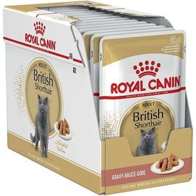 Royal Canin Pouch British Shorthair Irkına Özel 12x85 gr Yaş Kedi Maması