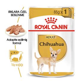 Royal Canin Pouch Chihuahua Irkı Özel Yaş Köpek Maması 85 Gr