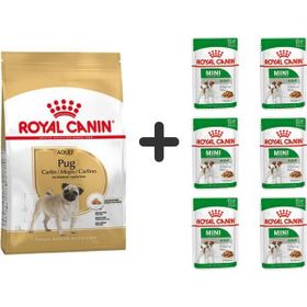 Royal Canin Pug Irkı Özel 1.5 kg Köpek Maması + 6 Adet Yaş Mama