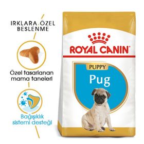 Royal Canin Pug Junior Tüm Irklar İçin Kümes Hayvanı Aromalı Tahıllı 1.5 kg Yavru Kuru Köpek Maması