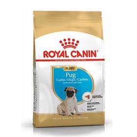 Royal Canin Pug Yavru Kuru 1,5 kg Köpek Maması