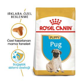 Royal Canin Pug Yavru Kuru 1,5 kg Köpek Maması