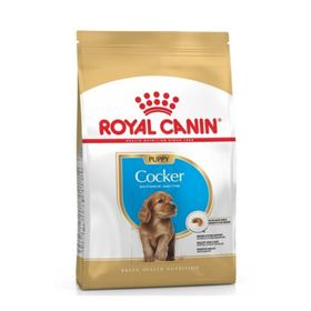 Royal Canin Puppy Cocker 3 kg Yetişkin Köpek Maması