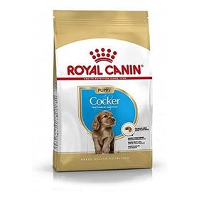 Royal Canin Puppy Cocker 3 kg Yetişkin Köpek Maması