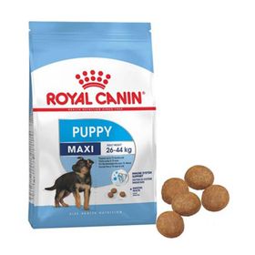 Royal Canin Puppy Maxi 26-44 Büyük Irk 15 kg Yavru Köpek Maması