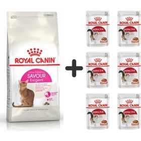Royal Canin Savour Exigent 2 kg Kuru Kedi Maması + 6 Adet Yaş Mama