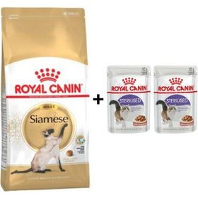 Royal Canin Siamese Yetişkin Kedi Maması 2 kg + 2 Adet Yaş Mama Hediye