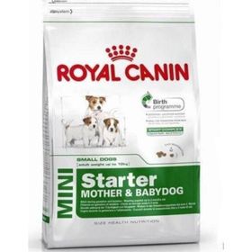 Royal Canin Small Dogs Mini Starter Mother Babydog 1 kg Yavru Köpek Maması