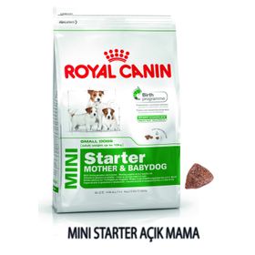 Royal Canin Small Dogs Mini Starter Mother Babydog 1 kg Yavru Köpek Maması