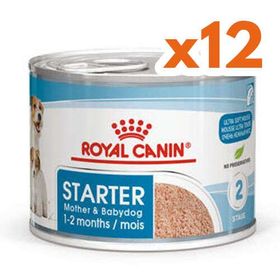 Royal Canin Starter Mousse 12x195 gr Anne ve Yavruları İçin Köpek Konservesi