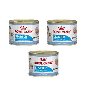 Royal Canin Starter Mousse 3x195 gr Yavru Köpek Konserve