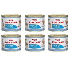 Royal Canin Starter Mousse 6x195 gr Yavru Köpek Konserve