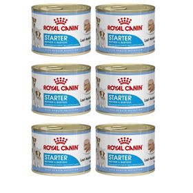 Royal Canin Starter Mousse 6x195 gr Yavru Köpek Konserve