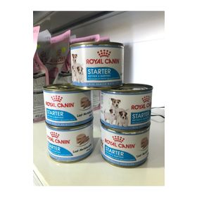 Royal Canin Starter Mousse Mother Babydog 5x195 gr Köpek Konservesi
