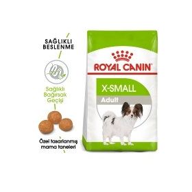 Royal Canin X-Small Küçük Irk 3 kg Yetişkin Köpek Maması