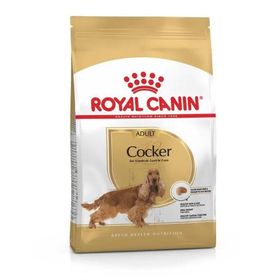 Royal Canin Yetişkin Cocker 3 kg Köpek Maması