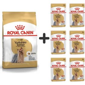 Royal Canin Yorkshire Terrier 1.5 kg Köpek Maması + 6 Adet Yaş Mama