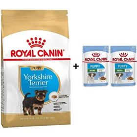 Royal Canin Yorkshire Terrier 1.5 kg Yavru Köpek Maması + 2 Adet Yaş Mama