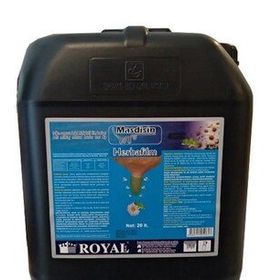Royal Masdisin Dynamic 20 lt Mastitis Meme Koruyucu