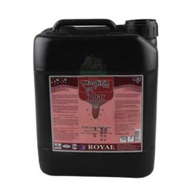 Royal Masdisin Iobar 5 lt Mastitis Meme Koruyucu