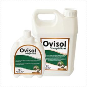 Royal Ovisol Sheep & Goat 1 lt Koyun Kuzu Keçi Sıvı Yem Katkısı