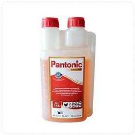 Royal Pantonic 1 lt Kanatlı Besleme Ürünleri