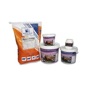 Royal Royvimin B Forte 5 kg Mayalı ve Biotinli Yem Katkıları