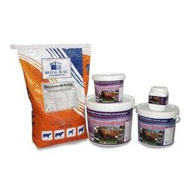 Royal Royvimin B Forte 5 kg Mayalı ve Biotinli Yem Katkıları