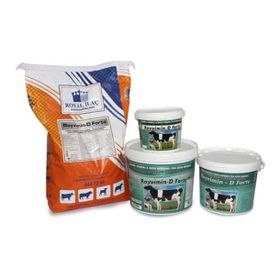 Royal Royvimin D Forte 10 kg Mayalı ve Biotinli Yem Katkıları