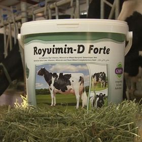 Royal Royvimin D Forte 25 kg Mayalı ve Biotinli Yem Katkıları