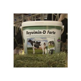 Royal Royvimin D Forte 25 kg Mayalı ve Biotinli Yem Katkıları