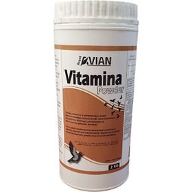 Royal Vitamina Powder 2 kg Vitamin ve Mineral Desteği