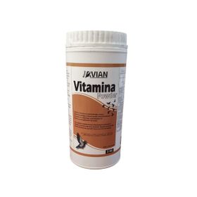 Royal Vitamina Powder 2 kg Vitamin ve Mineral Desteği
