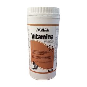 Royal Vitamina Powder 2 kg Vitamin ve Mineral Desteği
