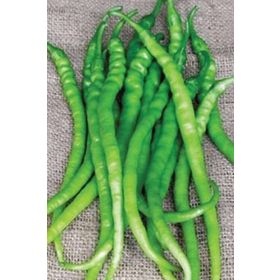 Royaleks 10 gr Acı Kıl Biber Tohumu