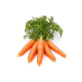 Royaleks 10 gr Sarı Havuç Tohumu