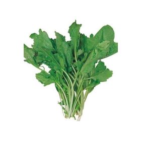 Royaleks 10 gr Tere Tohumu