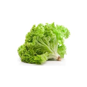 Royaleks 10 gr Yazlık Kıvırcık Marul Tohumu
