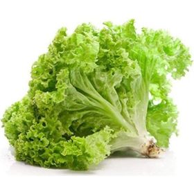 Royaleks 10 gr Yazlık Kıvırcık Marul Tohumu