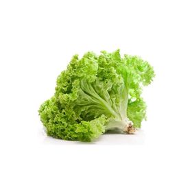 Royaleks 10 gr Yazlık Kıvırcık Marul Tohumu