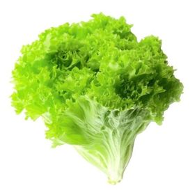 Royaleks 10 gr Yazlık Kıvırcık Marul Tohumu