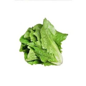 Royaleks 10 gr Yedikule Marul Tohumu