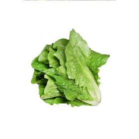 Royaleks 10 gr Yedikule Marul Tohumu