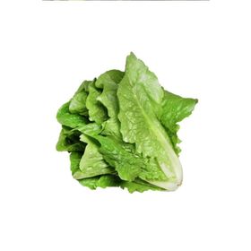 Royaleks 10 gr Yedikule Marul Tohumu