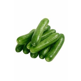 Royaleks 20 gr Hıyar Tohumu