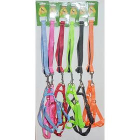 Royalist 201629 2.5 cm Köpek Göğüs Takımı