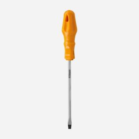 RTRMAX 4x100 mm Düz Tornavida