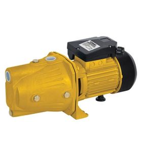 RTRMAX RTM875 1100 W 1.5 HP Su Pompası