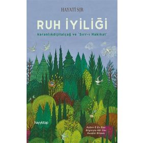 Ruh İyiliği - Hayati Sır