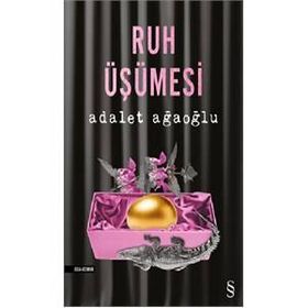 RUH ÜŞÜMESİ - ADALET AĞAOĞLU
